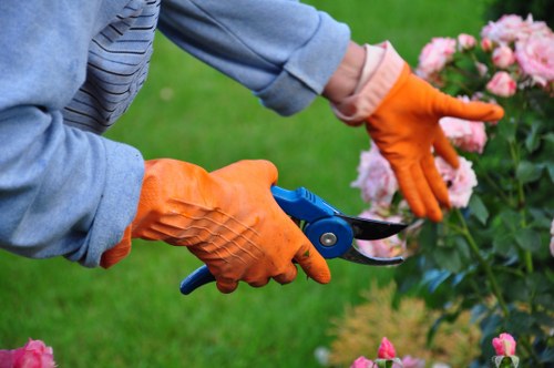 Professionals performing garden clearance in Hendon