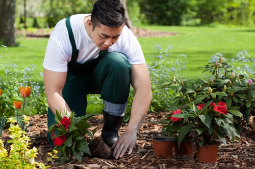 Maintaining a pristine deck in Hendon