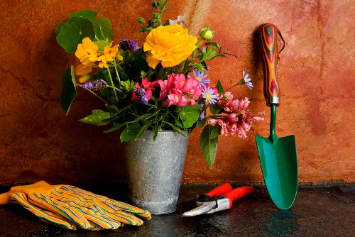 Seasonal garden maintenance activities in Hendon