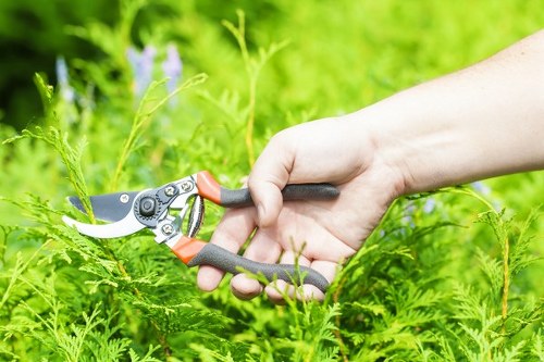 Eco-friendly landscaping features with rainwater harvesting system in Hendon
