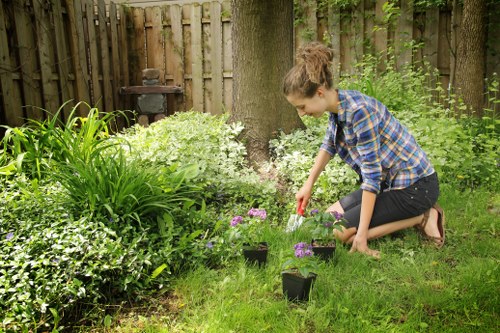Sustainable hedge trimming practices in Hendon