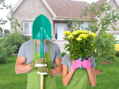 Eco-friendly lawn maintenance practices